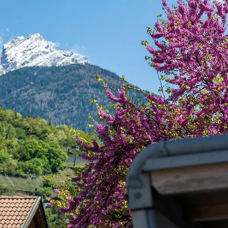 Leonardo Appartamento *