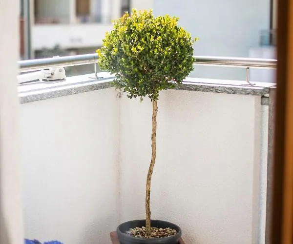 Leonardo * ميرانو