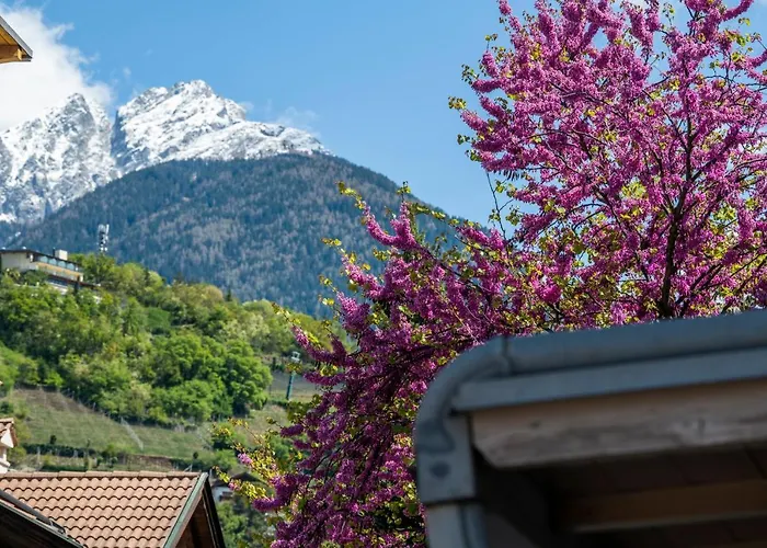 Leonardo Appartement *